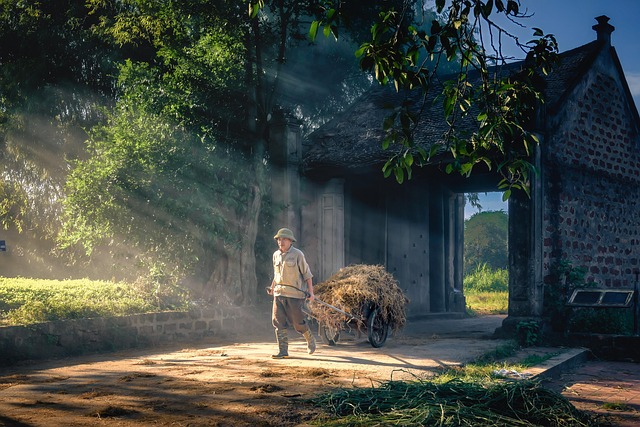 Texoma Health Foundation Park in Gateway